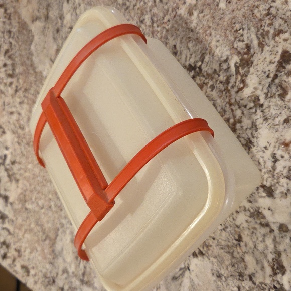 Tupperware Other - Vintage Ice Cream Container with Snap On Carrying Case 1990's